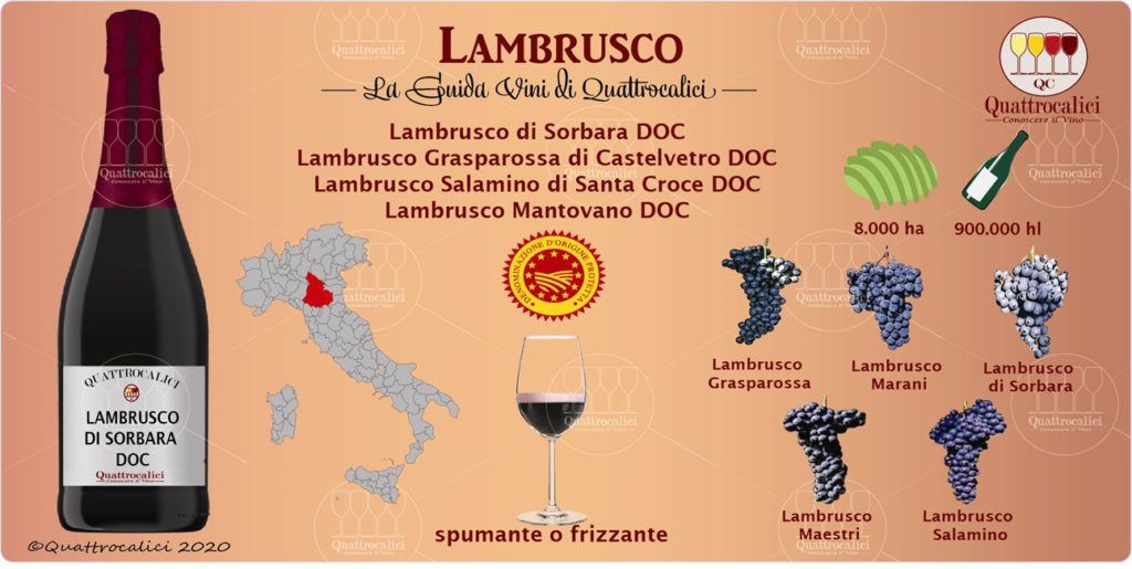 I Vini Lambrusco Guida Quattrocalici