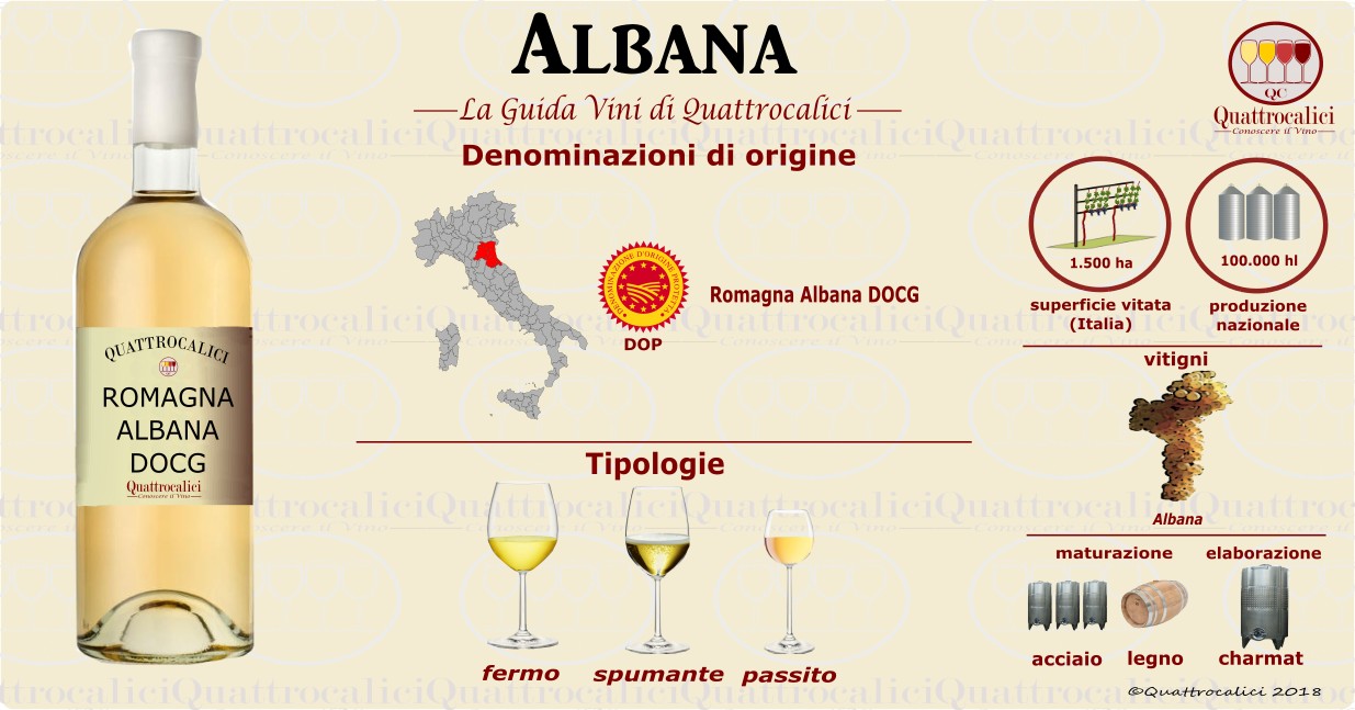 guida ai vini albana