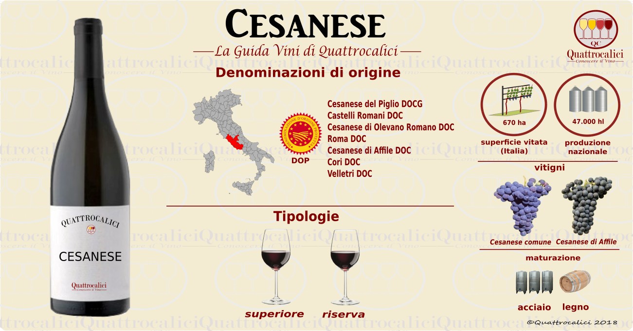 cesanese vino