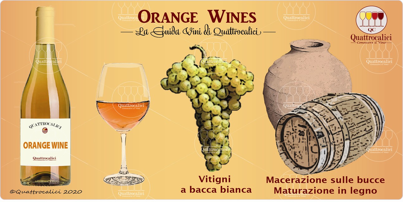 orange wines guida vini