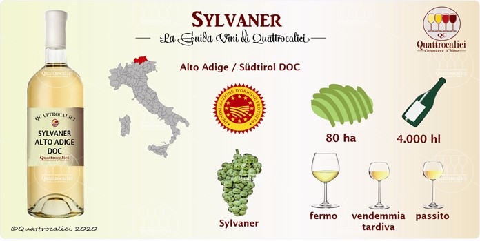 sylvaner guida vini
