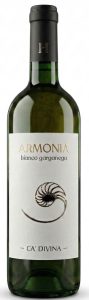 Armonia
